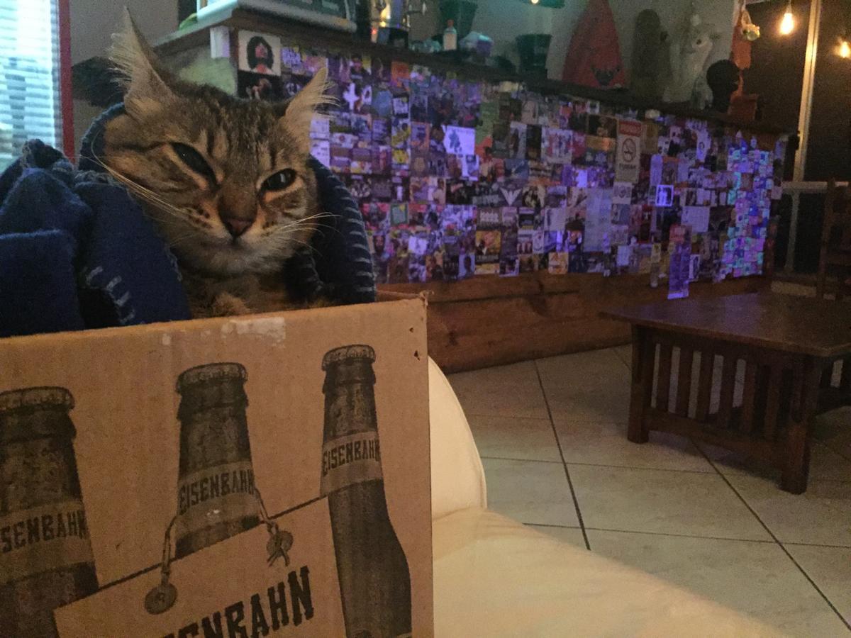 Hostal Vidigal Bar
